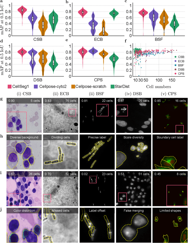 Figure 3 for CellSeg1: Robust Cell Segmentation with One Training Image