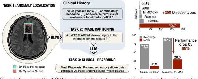 Figure 1 for NOVA: A Benchmark for Anomaly Localization and Clinical Reasoning in Brain MRI