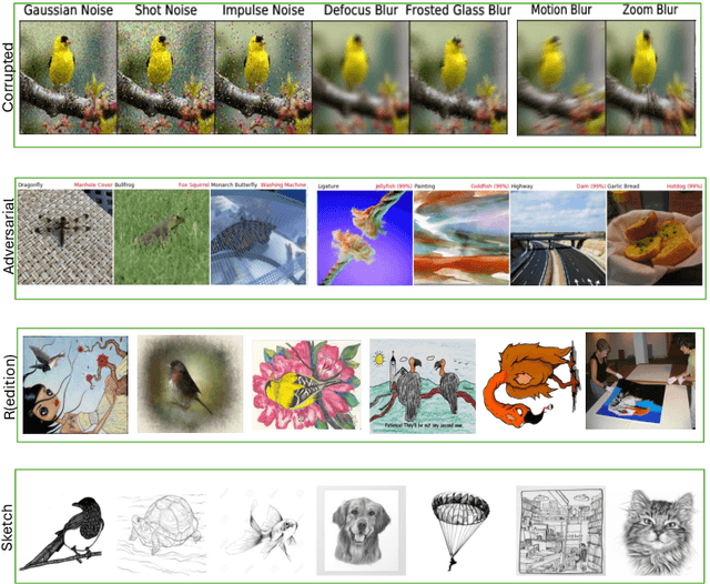 Figure 1 for Resilience of Vision Transformers for Domain Generalisation in the Presence of Out-of-Distribution Noisy Images