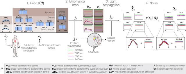 Figure 1 for Inferring Optical Tissue Properties from Photoplethysmography using Hybrid Amortized Inference