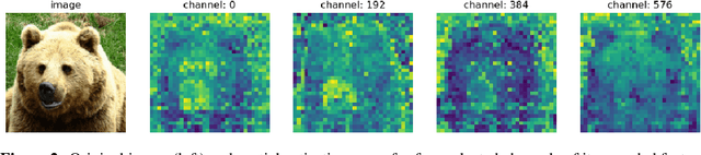 Figure 3 for Image Reconstruction as a Tool for Feature Analysis