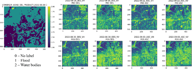 Figure 1 for Rapid Adaptation of Earth Observation Foundation Models for Segmentation