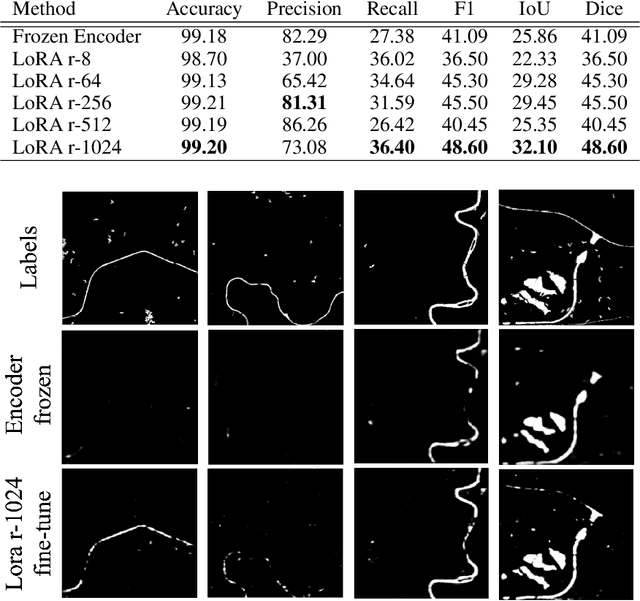 Figure 4 for Rapid Adaptation of Earth Observation Foundation Models for Segmentation