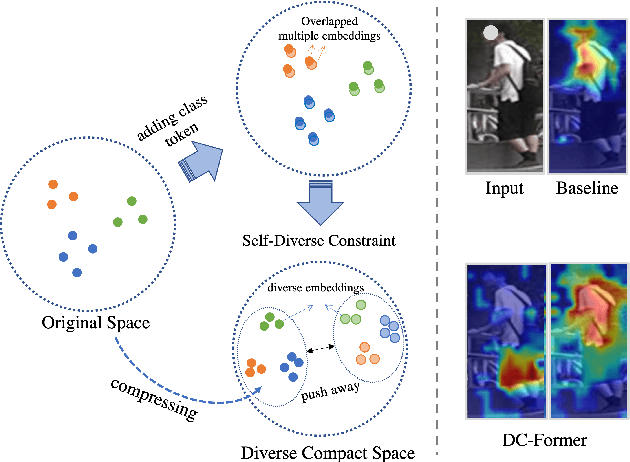 Figure 1 for DC-Former: Diverse and Compact Transformer for Person Re-Identification