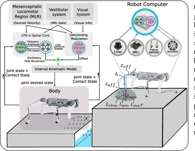 Figure 2 for Learning-based Hierarchical Control: Emulating the Central Nervous System for Bio-Inspired Legged Robot Locomotion