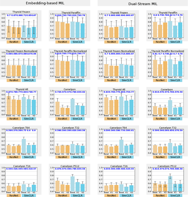 Figure 3 for MixUp-MIL: A Study on Linear & Multilinear Interpolation-Based Data Augmentation for Whole Slide Image Classification