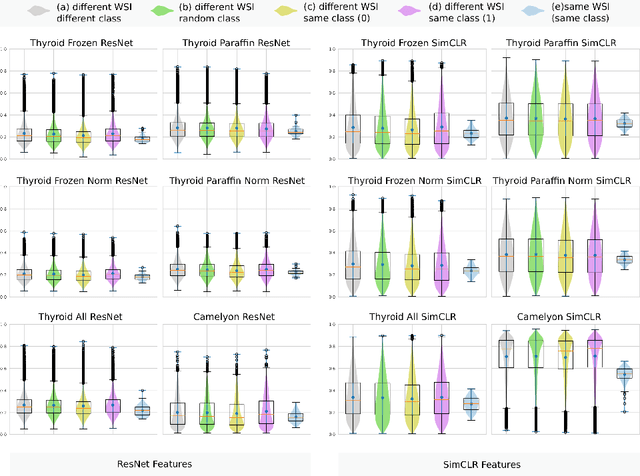 Figure 4 for MixUp-MIL: A Study on Linear & Multilinear Interpolation-Based Data Augmentation for Whole Slide Image Classification