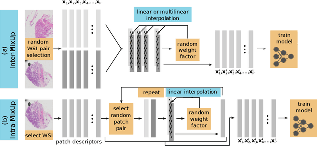 Figure 1 for MixUp-MIL: A Study on Linear & Multilinear Interpolation-Based Data Augmentation for Whole Slide Image Classification