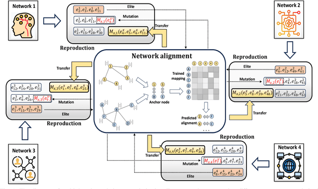 Figure 1 for Multi-Domain Evolutionary Optimization of Network Structures