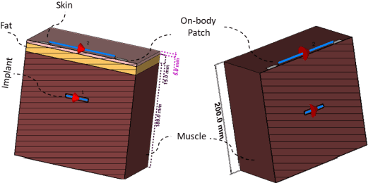 Figure 2 for Design and Implementation of a Hybrid Wireless Power and Communication System for Medical Implants