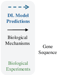 Figure 1 for GenePheno: Interpretable Gene Knockout-Induced Phenotype Abnormality Prediction from Gene Sequences