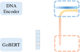 Figure 3 for GenePheno: Interpretable Gene Knockout-Induced Phenotype Abnormality Prediction from Gene Sequences