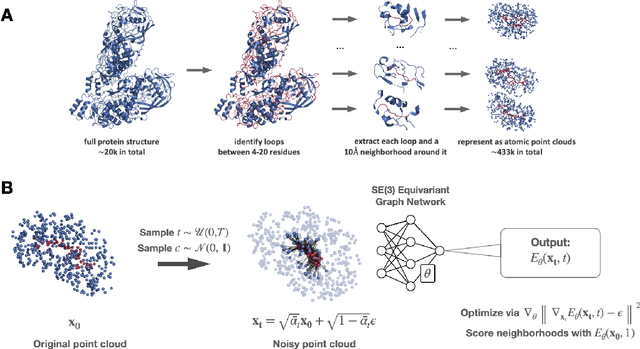 Figure 1 for Loop-Diffusion: an equivariant diffusion model for designing and scoring protein loops