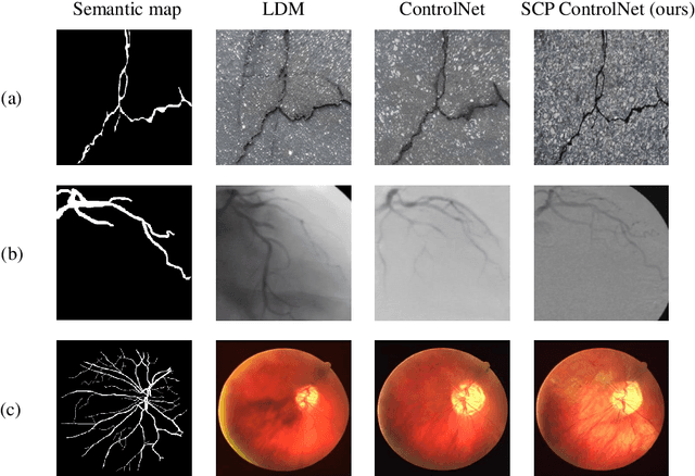 Figure 1 for Enriching Information and Preserving Semantic Consistency in Expanding Curvilinear Object Segmentation Datasets