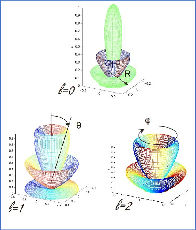 Figure 1 for OAM-Assisted Self-Healing Is Directional, Proportional and Persistent