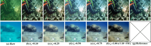 Figure 4 for Underwater Image Enhancement by Diffusion Model with Customized CLIP-Classifier