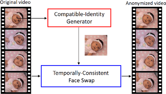 Figure 3 for BLANKET: Anonymizing Faces in Infant Video Recordings