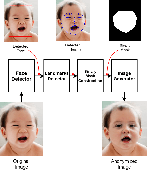 Figure 4 for BLANKET: Anonymizing Faces in Infant Video Recordings