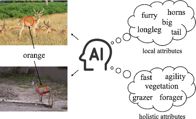 Figure 1 for Attribute Localization and Revision Network for Zero-Shot Learning