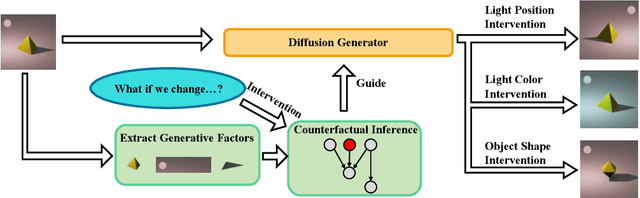 Figure 1 for DiffusionCounterfactuals: Inferring High-dimensional Counterfactuals with Guidance of Causal Representations