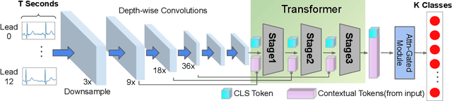Figure 1 for Hierarchical Transformer for Electrocardiogram Diagnosis