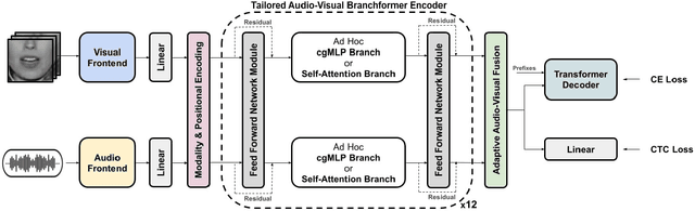 Figure 3 for Tailored Design of Audio-Visual Speech Recognition Models using Branchformers