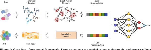 Figure 1 for Integrating Single-Cell Foundation Models with Graph Neural Networks for Drug Response Prediction