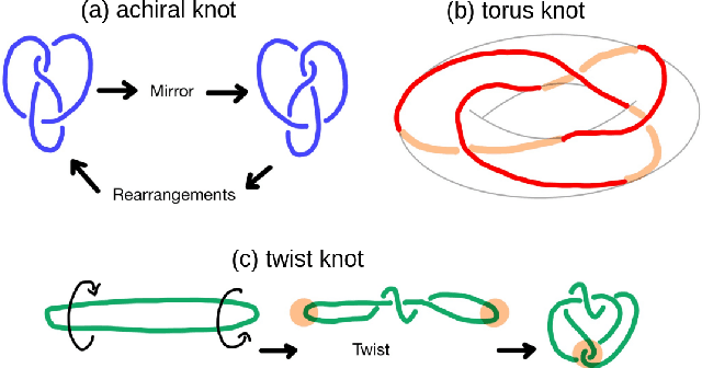 Figure 1 for Variational autoencoders understand knot topology
