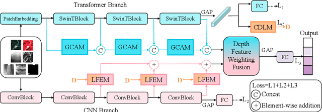 Figure 4 for Dual-Stream Global-Local Feature Collaborative Representation Network for Scene Classification of Mining Area