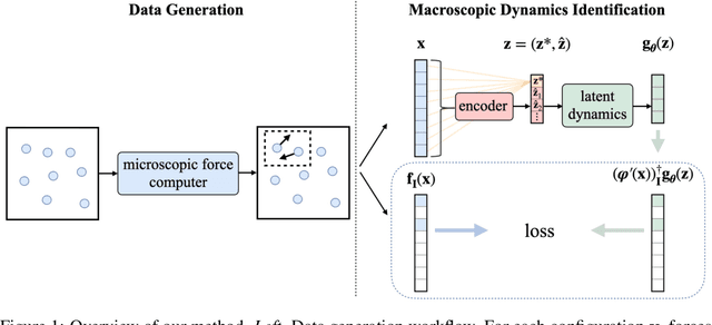 Figure 1 for Learning Macroscopic Dynamics from Partial Microscopic Observations
