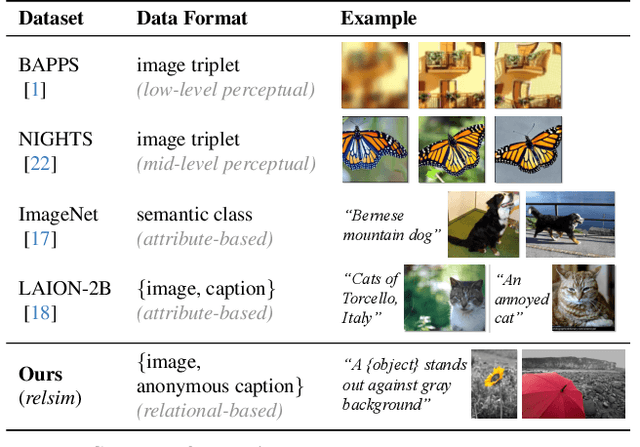 Figure 1 for Relational Visual Similarity