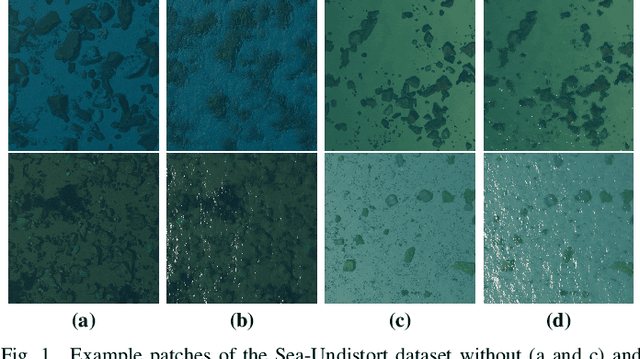 Figure 1 for Sea-Undistort: A Dataset for Through-Water Image Restoration in High Resolution Airborne Bathymetric Mapping