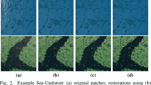 Figure 2 for Sea-Undistort: A Dataset for Through-Water Image Restoration in High Resolution Airborne Bathymetric Mapping