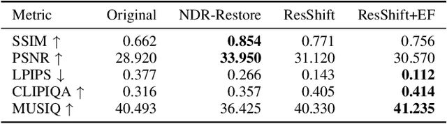 Figure 4 for Sea-Undistort: A Dataset for Through-Water Image Restoration in High Resolution Airborne Bathymetric Mapping