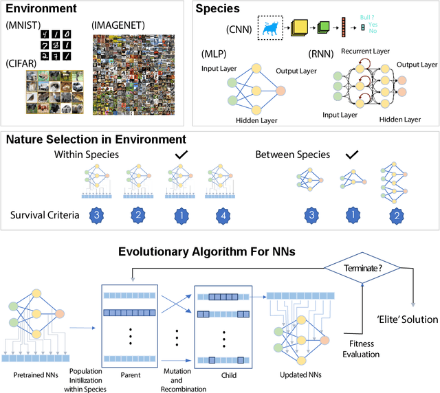 Figure 1 for Impacts of Darwinian Evolution on Pre-trained Deep Neural Networks