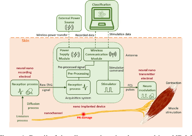 Figure 4 for Artificial Neural Networks-based Real-time Classification of ENG Signals for Implanted Nerve Interfaces