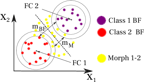 Figure 2 for MorphGuard: Morph Specific Margin Loss for Enhancing Robustness to Face Morphing Attacks