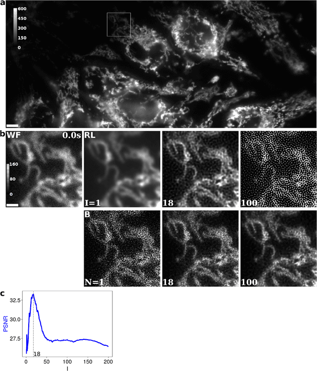 Figure 3 for Re-thinking Richardson-Lucy without Iteration Cutoffs: Physically Motivated Bayesian Deconvolution