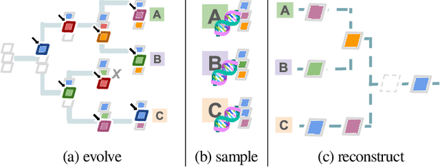 Figure 1 for A Scalable Trie Building Algorithm for High-Throughput Phyloanalysis of Wafer-Scale Digital Evolution Experiments