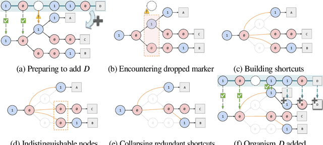 Figure 2 for A Scalable Trie Building Algorithm for High-Throughput Phyloanalysis of Wafer-Scale Digital Evolution Experiments