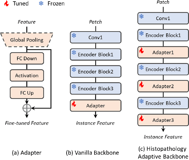 Figure 3 for Rethinking Attention-Based Multiple Instance Learning for Whole-Slide Pathological Image Classification: An Instance Attribute Viewpoint