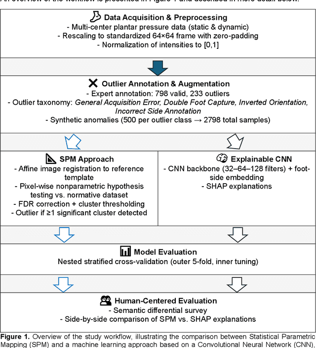 Figure 1 for Outlier Detection in Plantar Pressure: Human-Centered Comparison of Statistical Parametric Mapping and Explainable Machine Learning