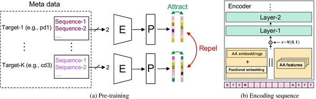 Figure 1 for Improving Antibody Humanness Prediction using Patent Data