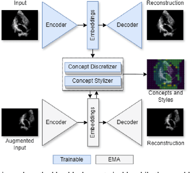 Figure 1 for ConceptVAE: Self-Supervised Fine-Grained Concept Disentanglement from 2D Echocardiographies