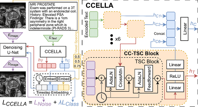 Figure 1 for Prompt-Guided Latent Diffusion with Predictive Class Conditioning for 3D Prostate MRI Generation
