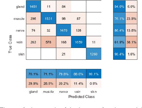 Figure 4 for Automatic Tissue Differentiation in Parotidectomy using Hyperspectral Imaging