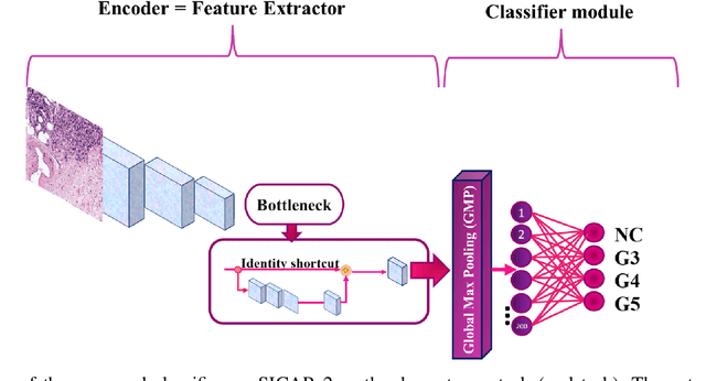 Figure 2 for Self-supervised learning of a tailored Convolutional Auto Encoder for histopathological prostate grading
