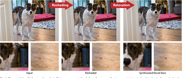 Figure 1 for ReShader: View-Dependent Highlights for Single Image View-Synthesis
