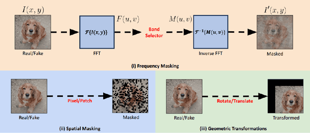 Figure 1 for Towards Sustainable Universal Deepfake Detection with Frequency-Domain Masking