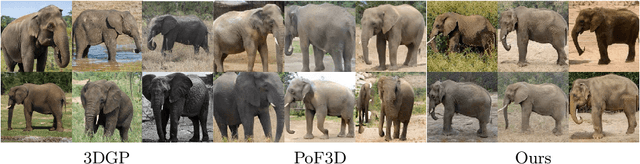 Figure 2 for Learning 3D-Aware GANs from Unposed Images with Template Feature Field